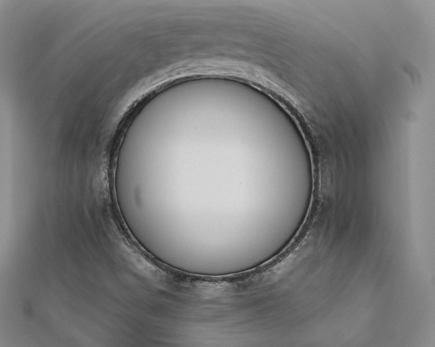 X0000113171498200909041311