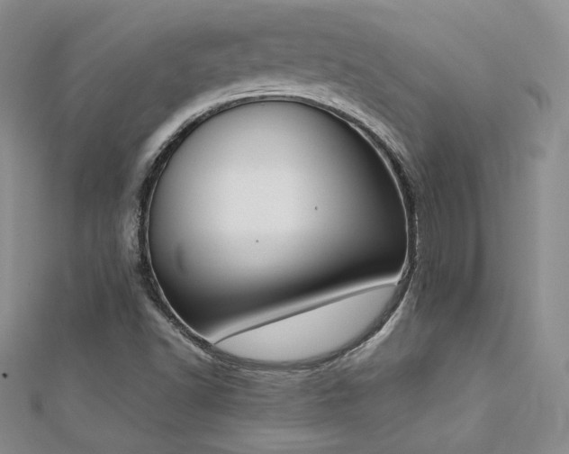 X0000113171502200909041311