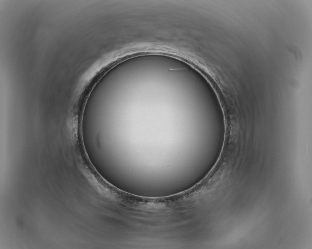 X0000113171503200909041311