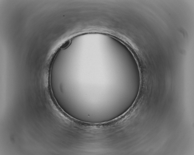 X0000113171504200909041311