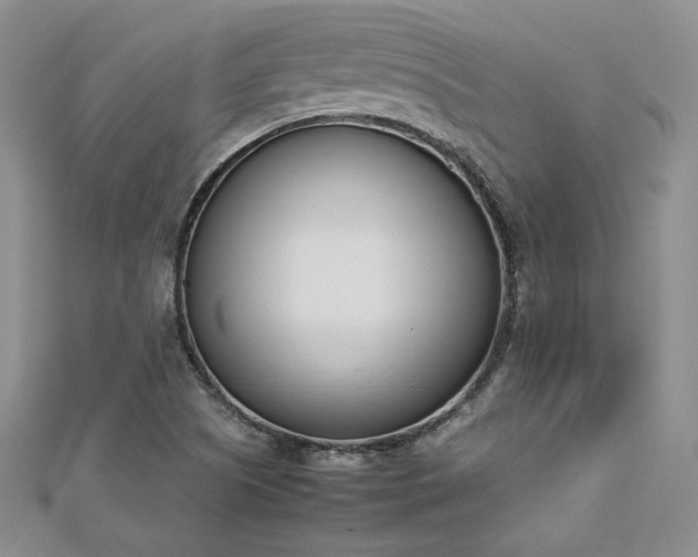 X0000113171505200909041311