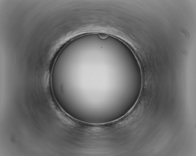 X0000113171507200909041311