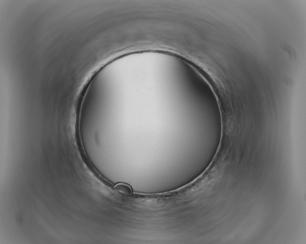 X0000113171508200909041311