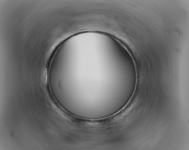 X0000113171509200909041311