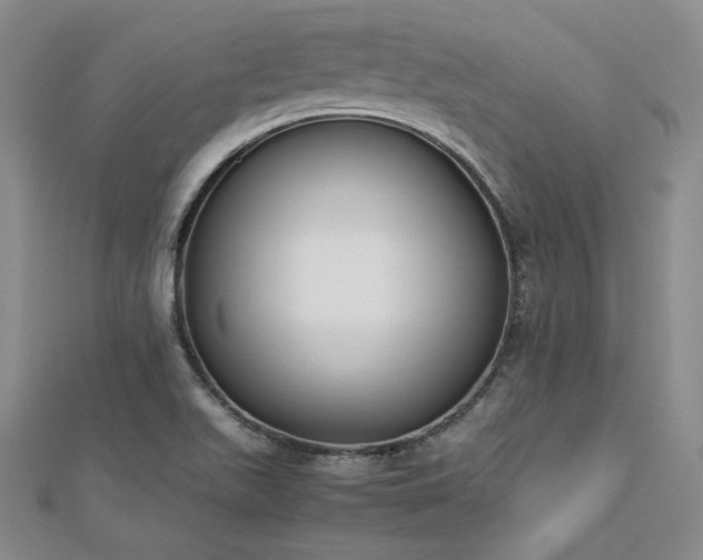 X0000113171511200909041311