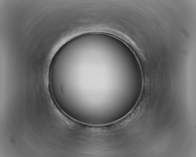 X0000113171512200909041311