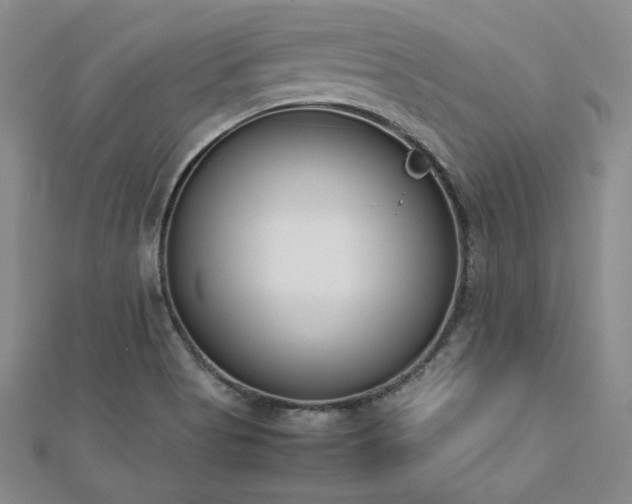 X0000113171513200909041311