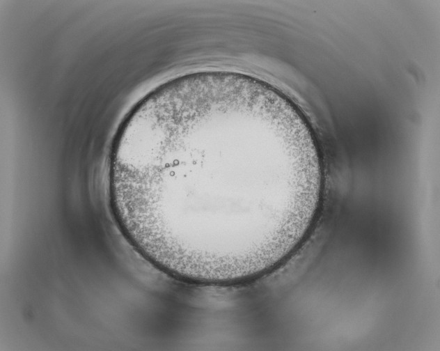X0000113171514200909041311