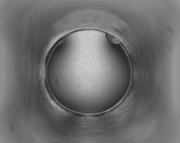 X0000113171515200909041311