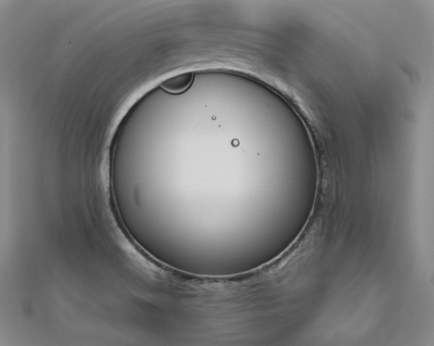 X0000113171516200909041311