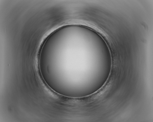 X0000113171517200909041311