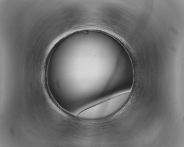 X0000113171518200909041311