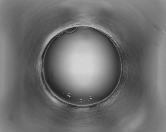 X0000113171519200909041311