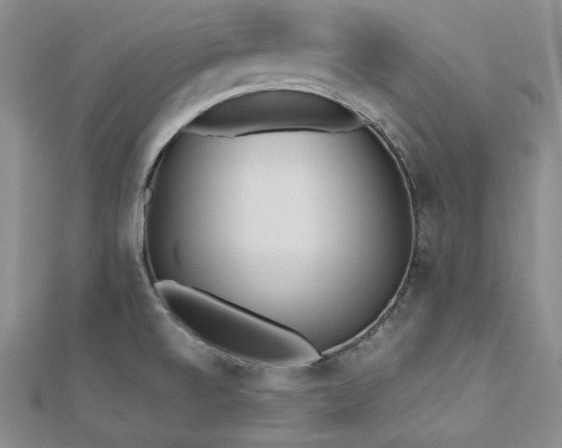 X0000113171520200909041311