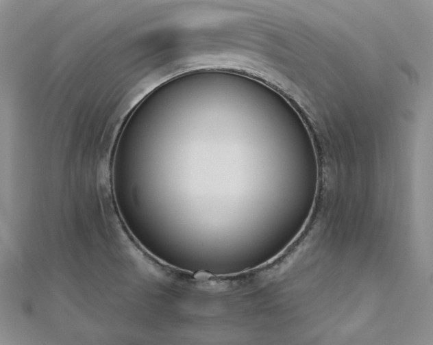 X0000113171521200909041311