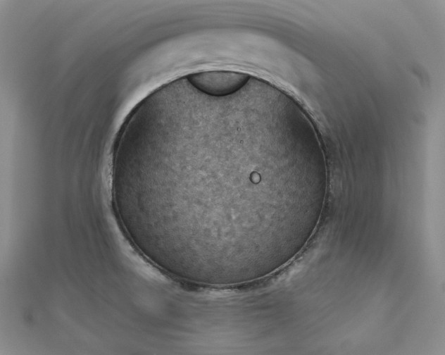 X0000113171522200909041311