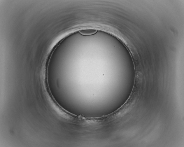 X0000113171523200909041311