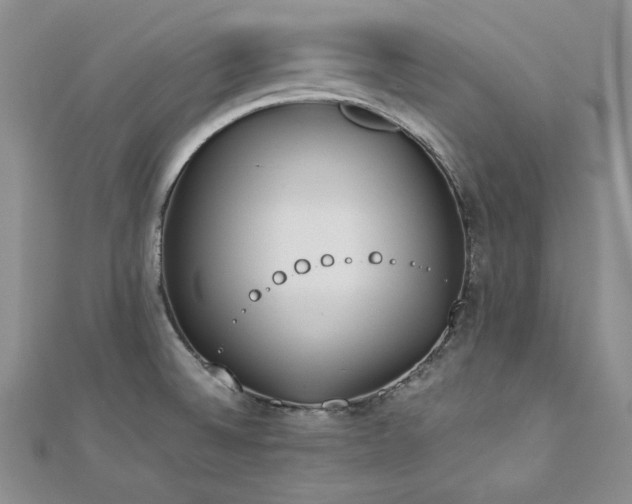 X0000113171524200909041311