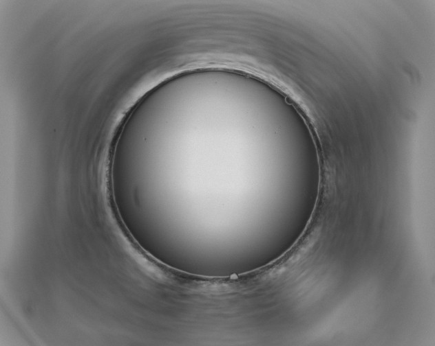 X0000113171525200909041311