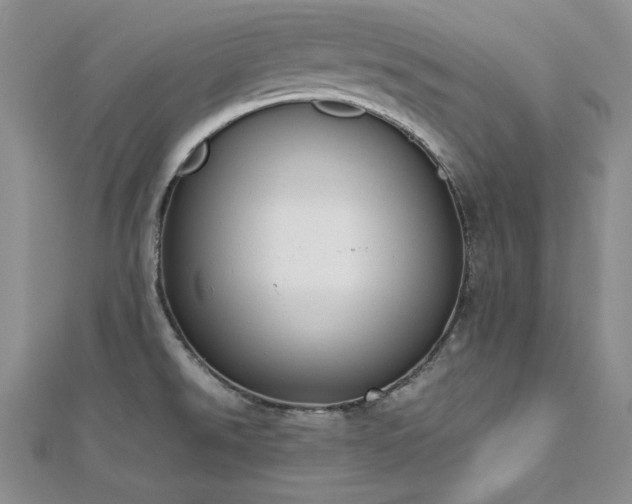 X0000113171526200909041311