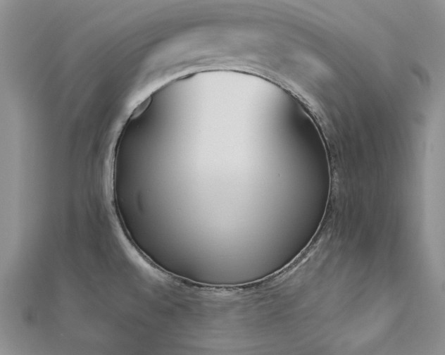 X0000113171528200909041311