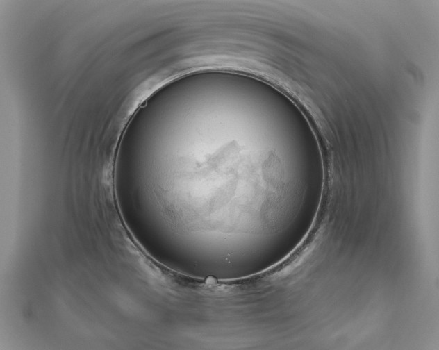 X0000113171529200909041311