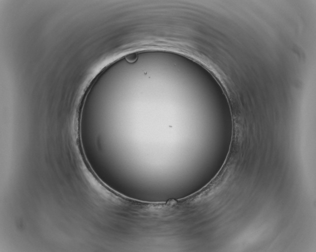 X0000113171531200909041311
