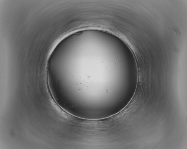 X0000113171532200909041311