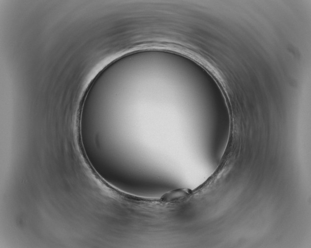 X0000113171533200909041311