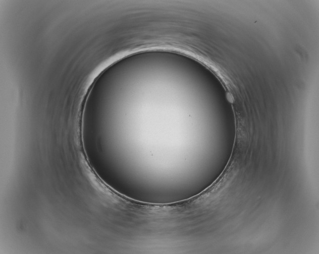 X0000113171534200909041311