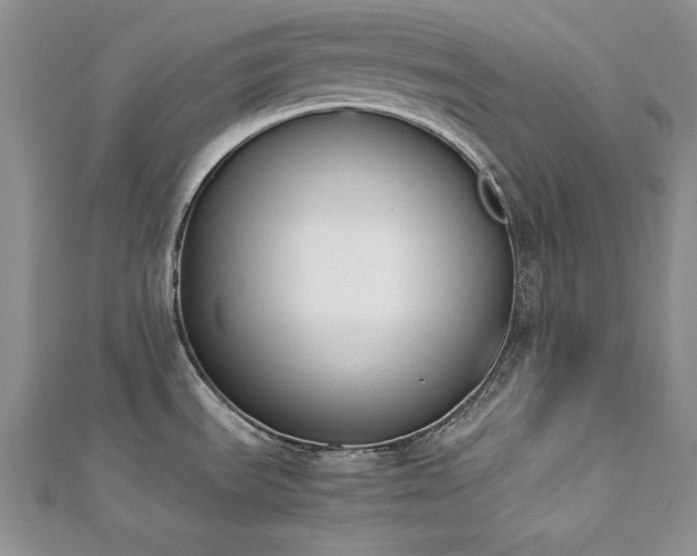 X0000113171535200909041311