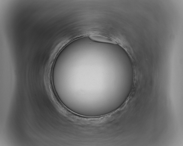 X0000113170001200909111044
