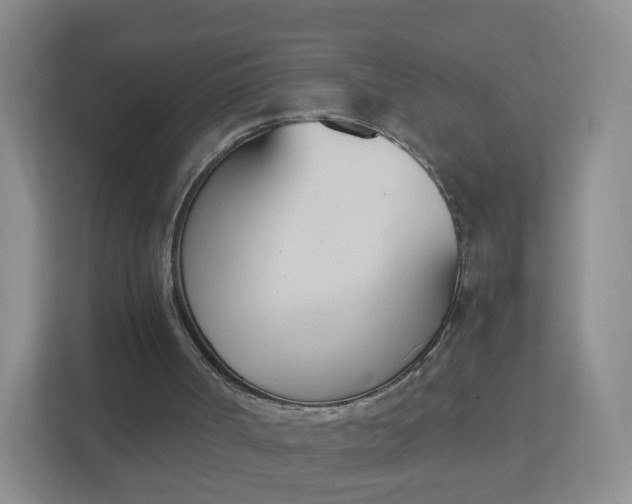 X0000113170002200909111044