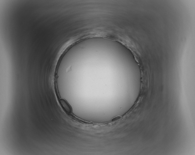 X0000113170003200909111044