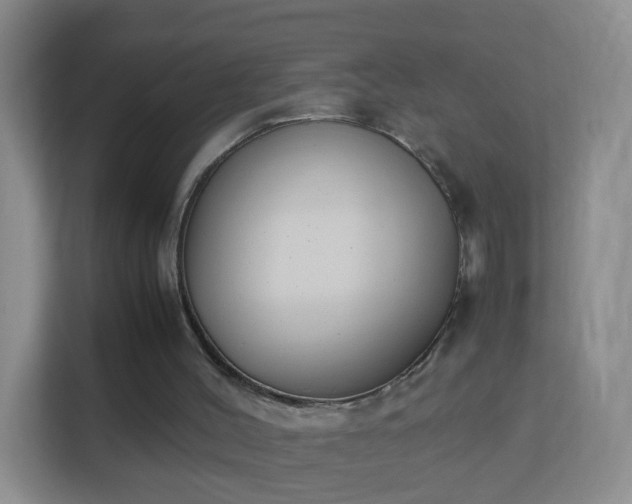 X0000113170004200909111044