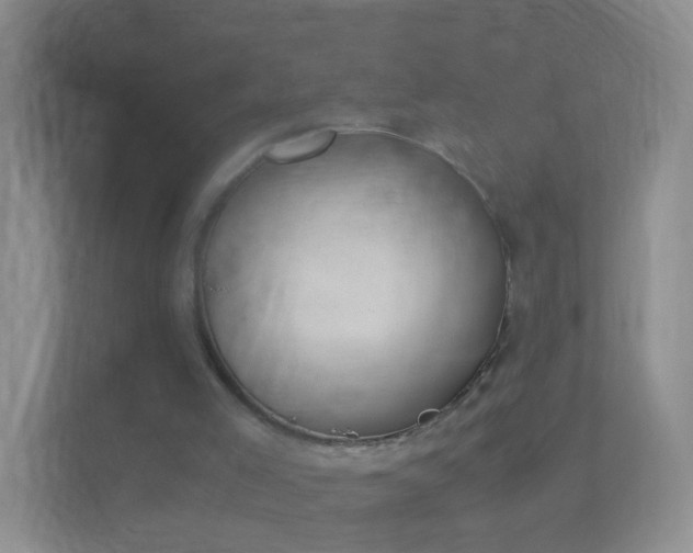 X0000113170005200909111044