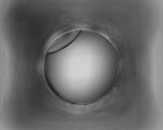 X0000113170007200909111044