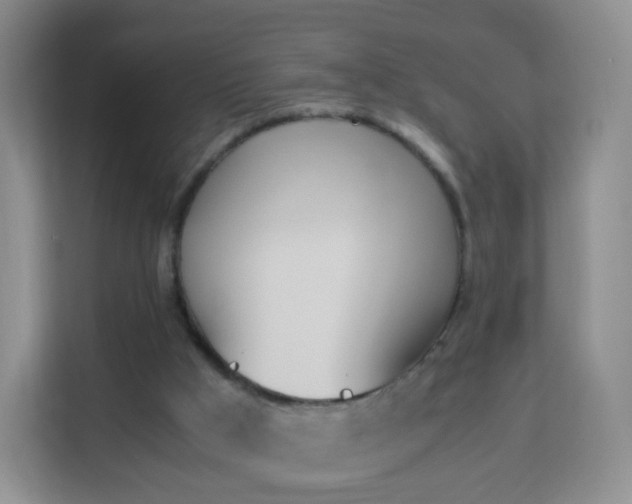 X0000113170009200909111044