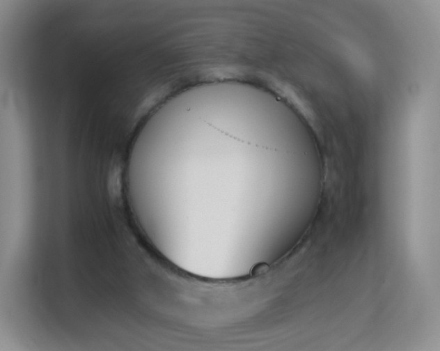 X0000113170010200909111044