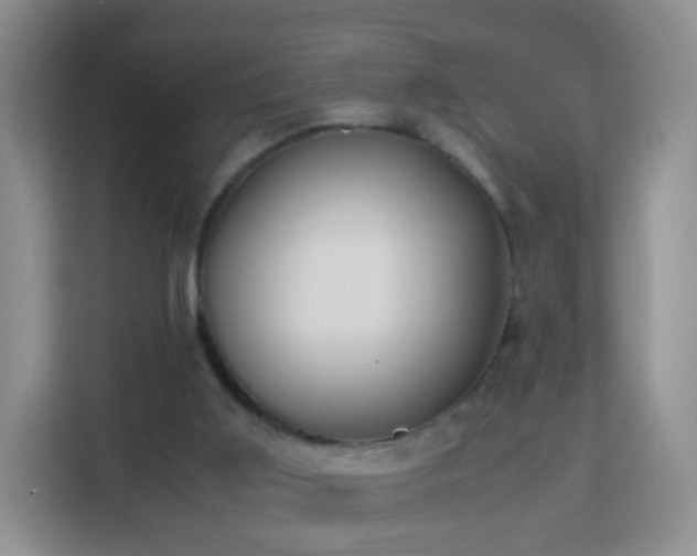 X0000113170011200909111044