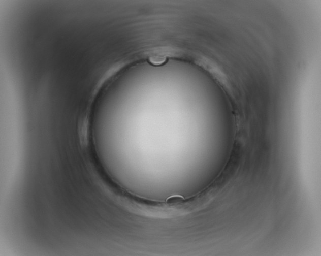 X0000113170012200909111043