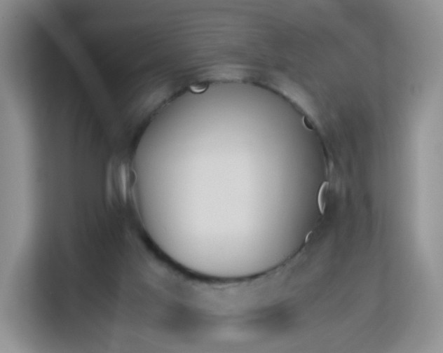 X0000113170013200909111043
