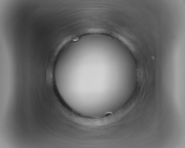 X0000113170015200909111043