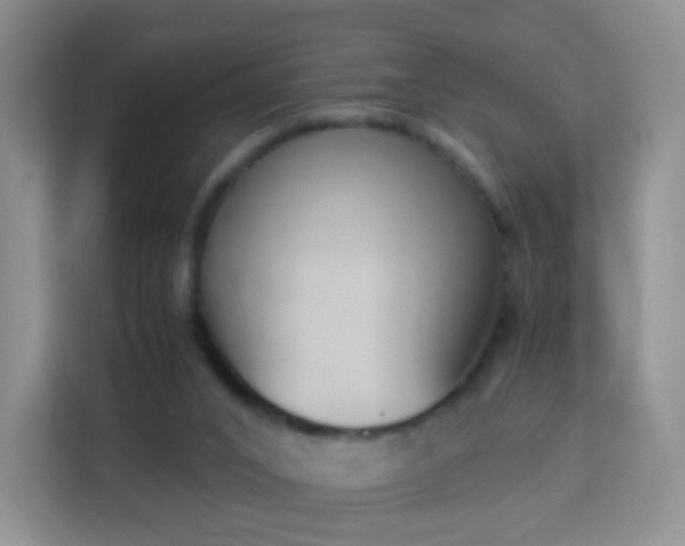 X0000113170016200909111043