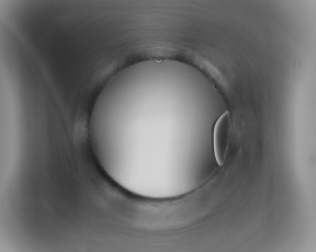 X0000113170017200909111043