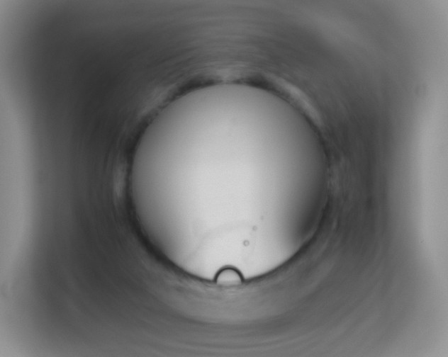 X0000113170018200909111043