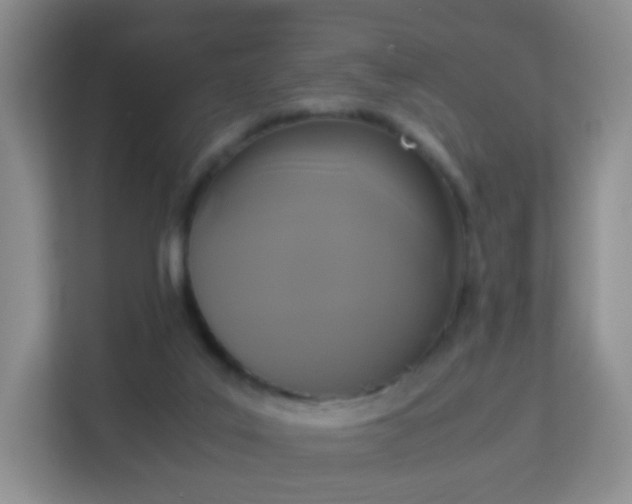 X0000113170019200909111043