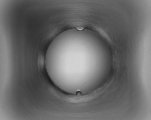 X0000113170021200909111043