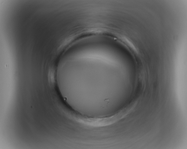 X0000113170023200909111043