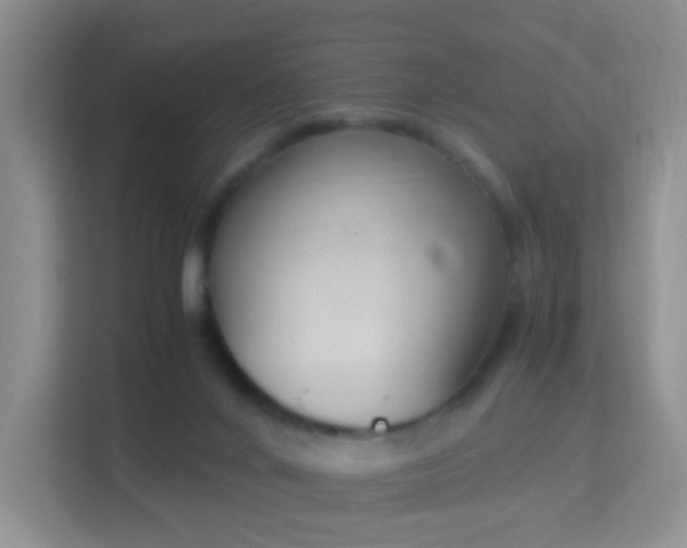 X0000113170024200909111043